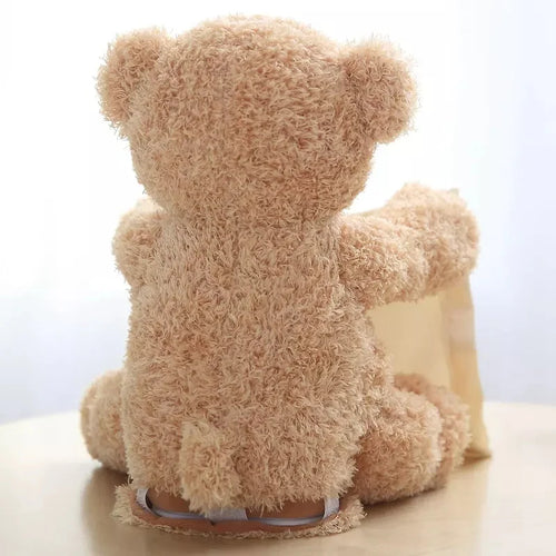 Peek-A-Boo Teddy Bear Toy